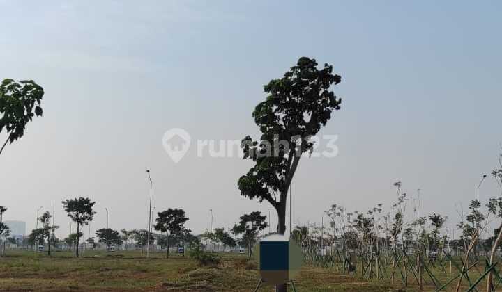 Kavling Wallstreet Uk 10x40 Pik2 Termurah Hadap Selatan Strategis