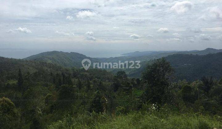  Tanah Gunung Batu Cikakak Sukabumi 4.2 Hektar Pelabuhan Ratu 1