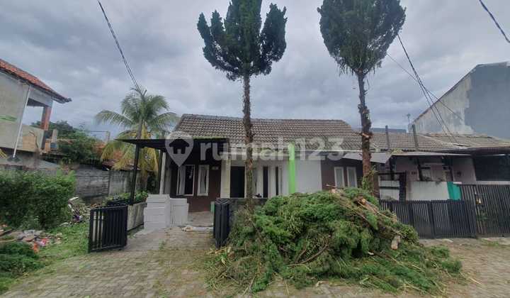 Rumah Minimalis Griya Soka 550 Juta Nego Siap Huni Rumah Minimalis Griya Soka 550 Juta Nego Siap Huni