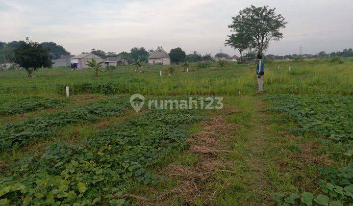 Di  tanah kavling BU loksi Strategis Di Desa satria mekar kecamatan tambun Utara bekasi
