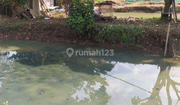 Tanah SHM 726 m² di Ciseeng Cibentang Parung Bogor 2