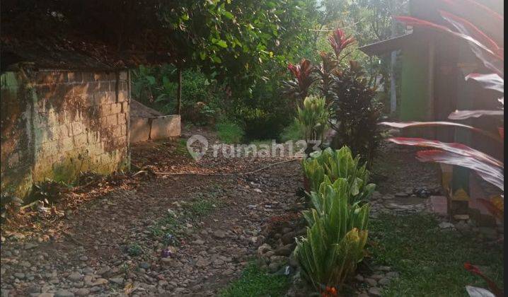 Tanah Kebun Pakapuran Tajur di Citeureup, Bogor 768 m² 2