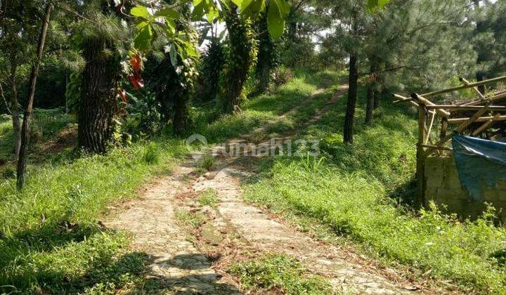 Tanah Kebun di Jalan Raya Sukabumi, Bogor SHM 14.561 m² 2