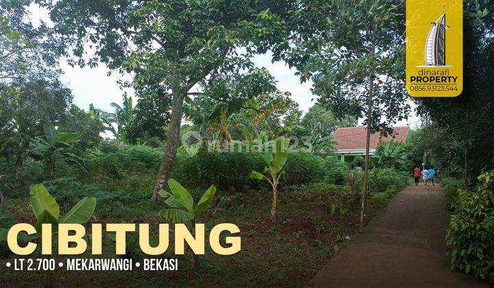 Tanah Murah Desa Mekarwangi Cibitung, Bekasi SHM 2.700 m² 1