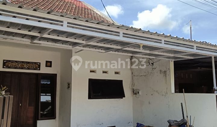 Disewakan Rumah Baru di Daerah Renon Bebas Banjir Disewakan Rumah Baru di Daerah Renon Bebas Banjir