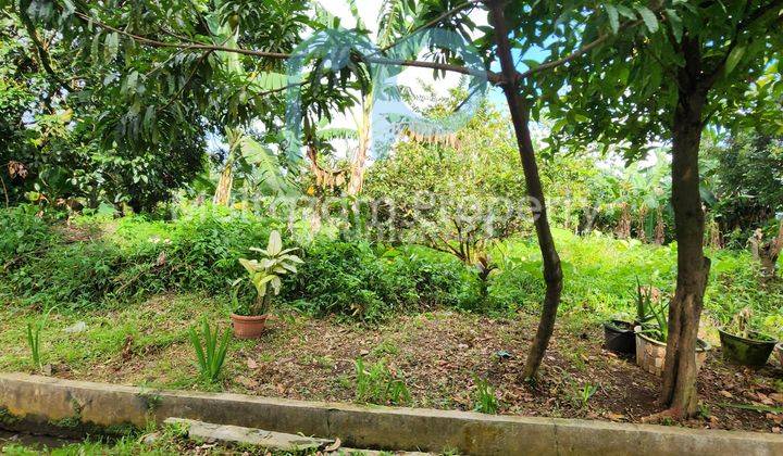 Tanah murah kota bogor cocok buat town house 3