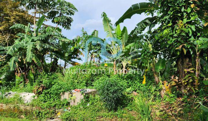 Tanah murah kota bogor cocok buat town house 4