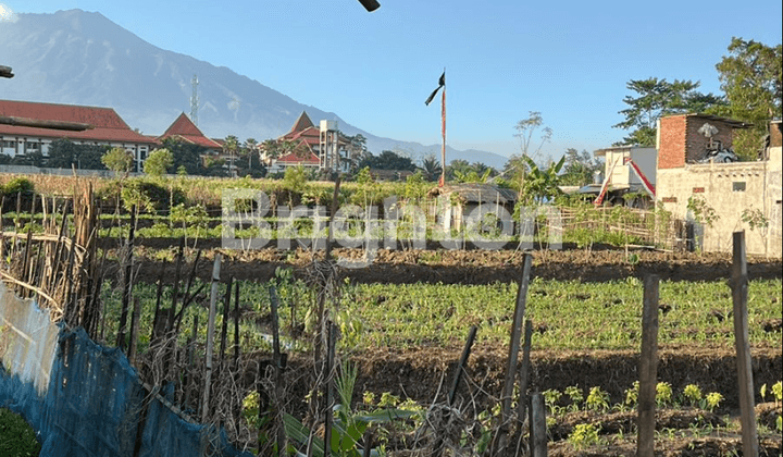 TANAH DI JUNREJO BATU MALANG 2