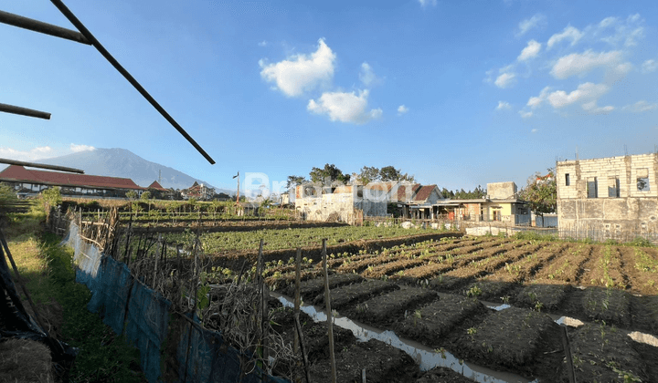 TANAH DI JUNREJO BATU MALANG 1