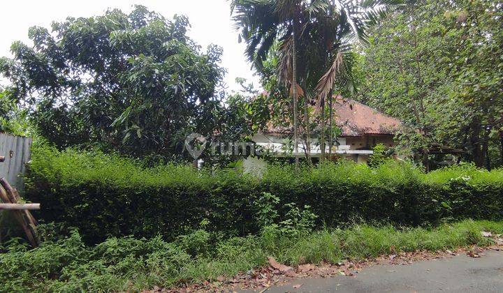 RUMAH HITUNG TANAH AREA GUNTUR GAJAH MUNGKUR SEMARANG 1