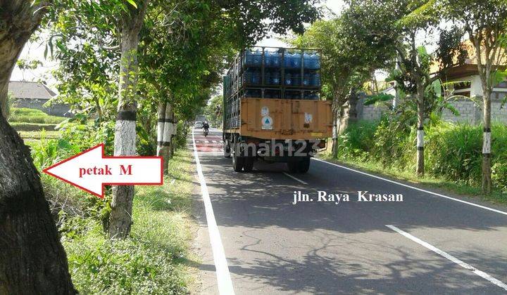 Tanah Strategis 2 hektar 9km dari Ubud 4