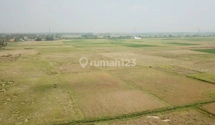 Dijual Tanah di Rajeg Tangerang, cocok untuk perumahan SHM 2