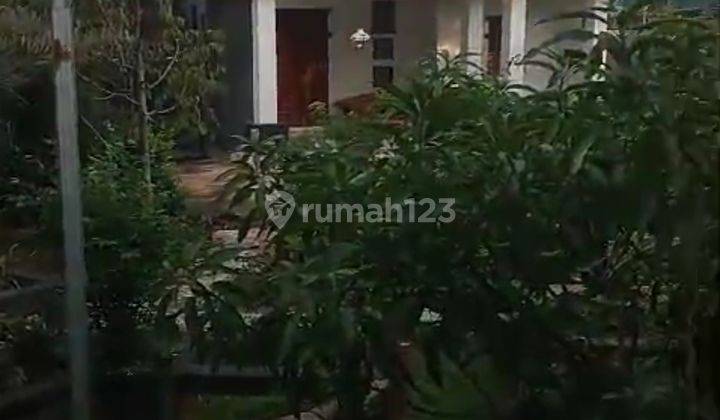 Tanah Bu Plus Rumah Mewah Akses 40 Feet Cisauk Bsd 2