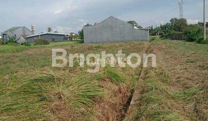 TANAH TANJUNG BUNGA DEKAT DIAN HARAPAN 1