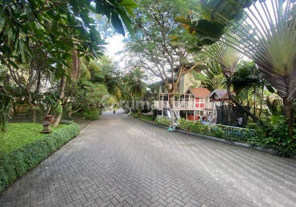 For Rent A Beautiful Apartment With Best View Like Living In Bali 17