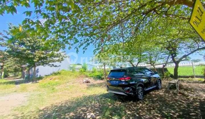 Dijual Cepat Tanah Di Pasuruan Kidul Kudus 2