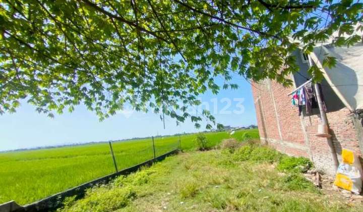 Dijual Cepat Tanah Di Pasuruan Kidul Kudus 3