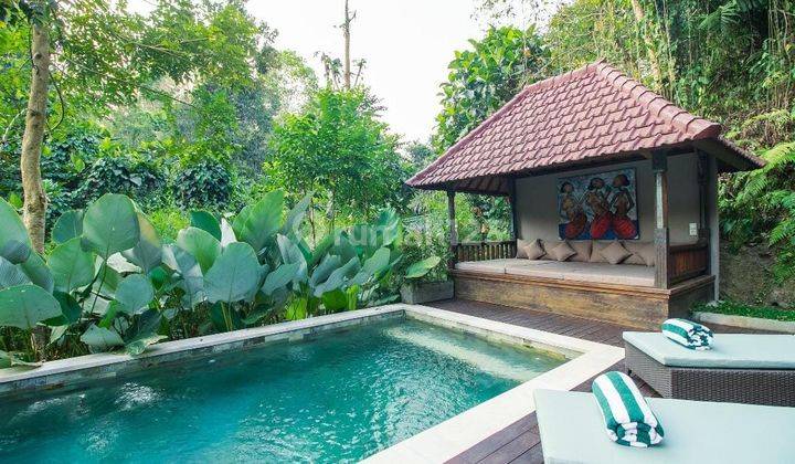 Your Dream Hidden Gem Resort At Villa Price 2