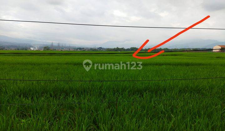 Dijual Sawah Daerah Banjarang 1