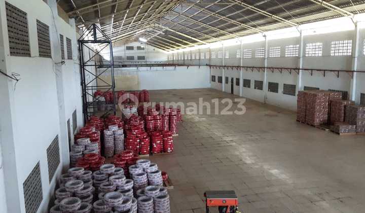 Cheap Sale Ex Plastic Factory Factory