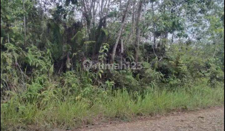 Dijual Cepat Lahan IKN
Penajam Paser Utara, Kalimantan Timur Luas 634 ha   2