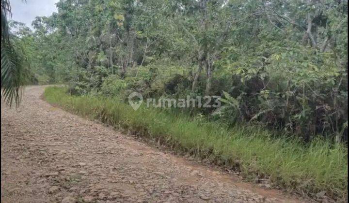 Dijual Cepat Lahan IKN
Penajam Paser Utara, Kalimantan Timur Luas 634 ha   1