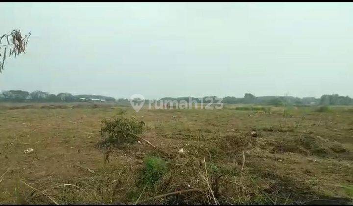 Dijual Cepat Tanah Kawasan Industri Gelam Jaya, Tangerang Luas 10 Ha 1