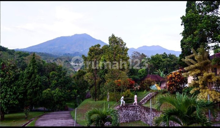 For Sale Villa Land Calculation With Large Swimming Pool Prigen Bone Sky Gate Ledug Tretes For Sale Villa Land Calculation With Large Swimming Pool Prigen Bone Sky Gate Ledug Tretes