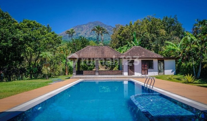 For Sale Villa Land Calculation With Large Swimming Pool Prigen Bone Sky Gate Ledug Tretes For Sale Villa Land Calculation With Large Swimming Pool Prigen Bone Sky Gate Ledug Tretes