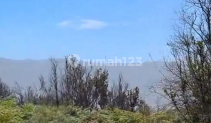 Jual Tanah Bromo Tengger Puncak Premium Ring 1 Lautan Pasir Hotel Villa Vila Glamping Eco Tourism