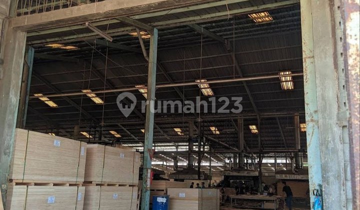 For Sale: Plywood Factory with Land Area Calculated Based on NJOP, Jombang