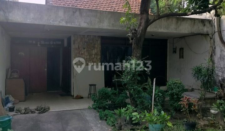 Jual Rumah Kolonial Hitung Tanah Majapahit St Louis Widya Mandala Wm Raya Darmo Dinoyo Surabaya Pusat 1