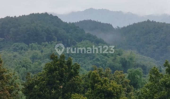 Jual Tanah Raya Bromo Tengger Wisata Hotel Villa Sukapura Probolinggo