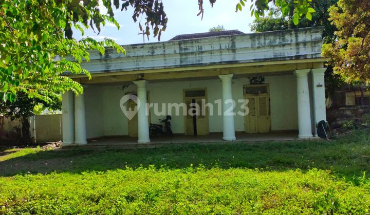 Jual Rumah Kolonial Belanda Hitung Tanah Bank Hotel Supermarket Suroyo Pusat Kota Probolinggo