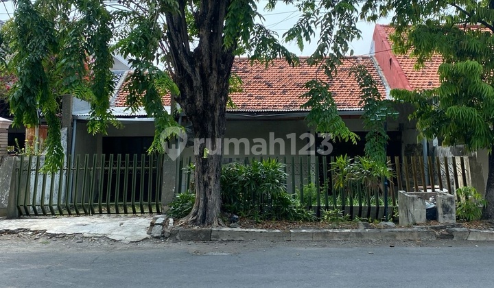 Jual Rumah Hitung Tanah Murah Tusuk Sate Row Jalan 3 Mobil Raya Kendangsari Ubaya Unusa Kos Kost Kantor Sby Timur 1