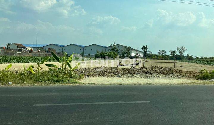 Tanah di Sukaharjo Dekat Solo Jawa Tengah 1