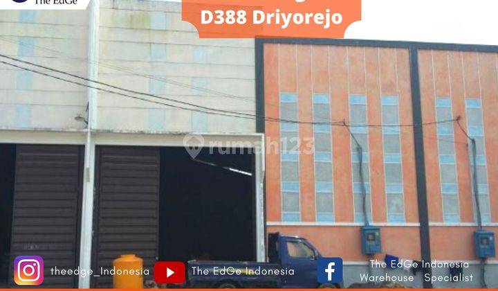 Dijual Gudang D 388 Blok A Driyorejo Gresik The Edge 4