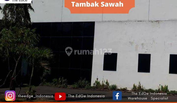 Gudang Sidoarjo Tambak Sawah Dekat Pabrik Siantar Top The Edge 2