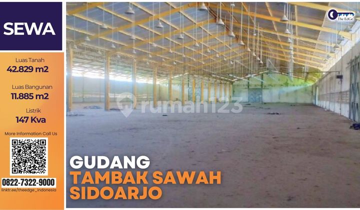 Rent Warehouse, Fishpond, and Rice Field in Sidoarjo - The EdGe Rent Warehouse, Fishpond, and Rice Field in Sidoarjo - The EdGe