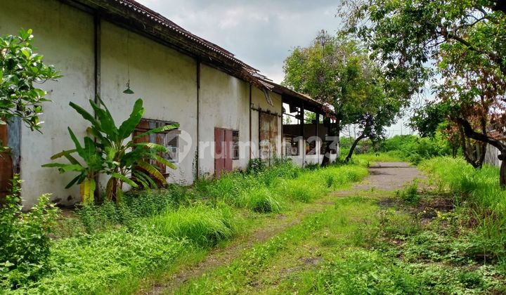 Jual Cepat Gudang Raya Taman Sidoarjo dekat Tol Waru - The EdGe 