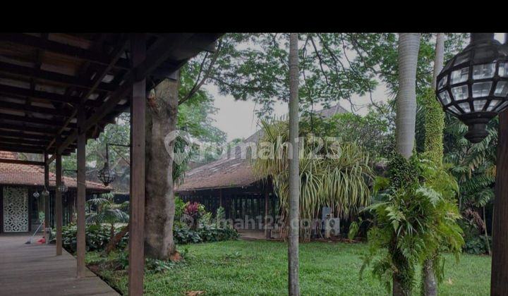 Old House for Sale in Jeruk Purut, Cilandak