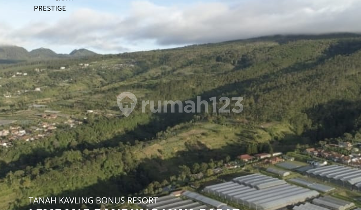 FOR SALE TANAH KAVLING BONUS RESORT DI LEMBANG BANDUNG JAWA BARAT FOR SALE TANAH KAVLING BONUS RESORT DI LEMBANG BANDUNG JAWA BARAT