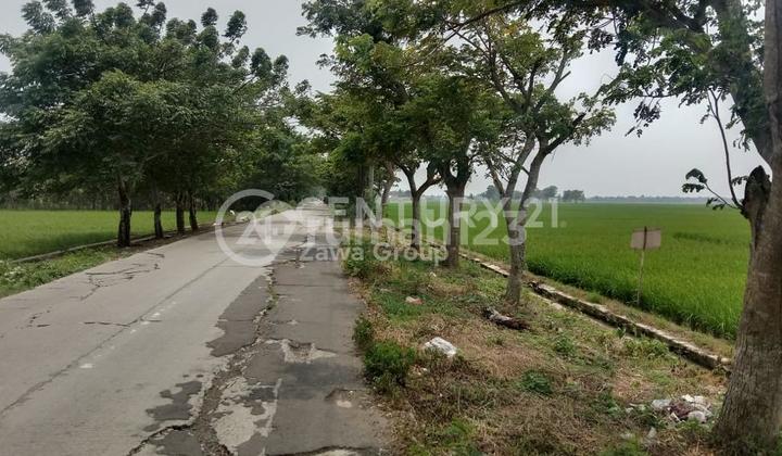 Dijual Cepat Tanah Utk Perumahan Dibekasi Hadap Selatan Strategis 1