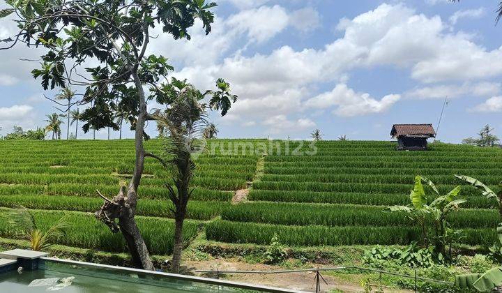 For Sale Brand New Villa Ready Furnished View Rice Fields Canggu Location 2