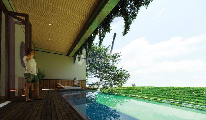 Villa Complex Full Furnished Lokasi Canggu  1