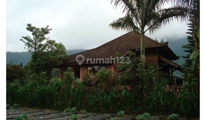 Di Jual Villa View Kebun Lokasi Pingir Jalan Bedugul  1