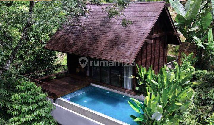 Villa Di Ubud Dengan Private Pool View Ke Sungai Tropical Forest. 2