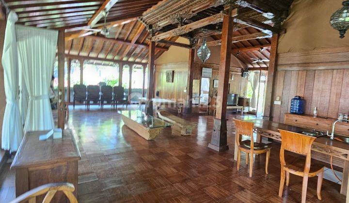 For Sale Villa Lokasi Tourist View River Jungle Di Central Ubud  2