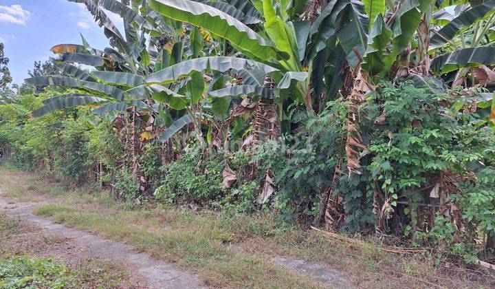  Tanah Murah Siap Di Bangun Lokasi Startegis View Area Singaraja  2