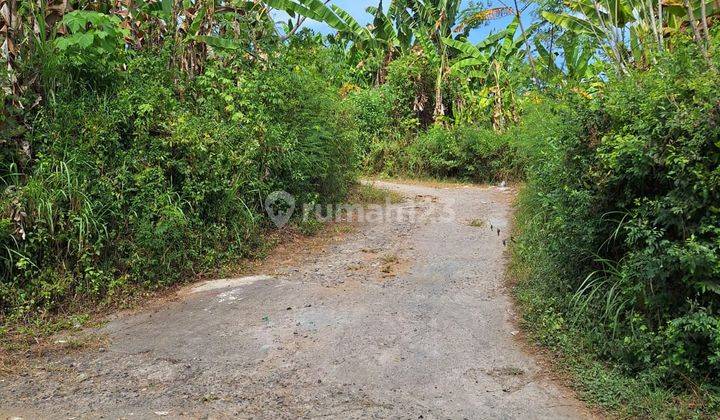  Tanah Siap Bangun Rumah Lokasi Startegis Area Singaraja Bali 2